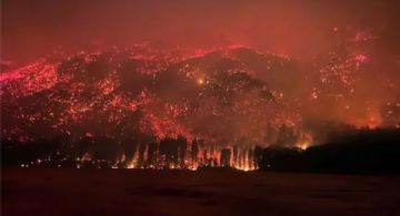 Incendios en El Hoyo: el intendente manifestó que todos los años “pasa lo mismo”