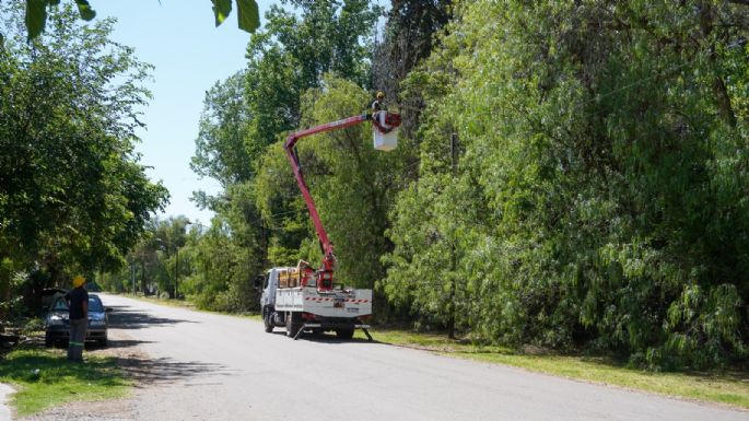Otro intendente en apuros por una licitación de luces LED