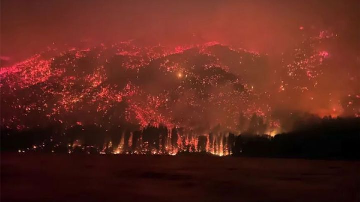 Incendios en El Hoyo: el intendente manifestó que todos los años “pasa lo mismo”