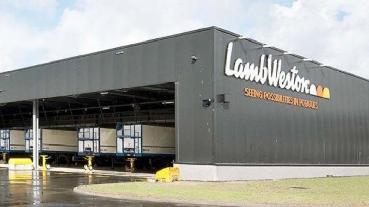 Gigante de las papas fritas cerró su planta y despidió a 100 personas