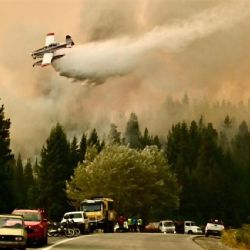 El costo de desfinanciar la prevención