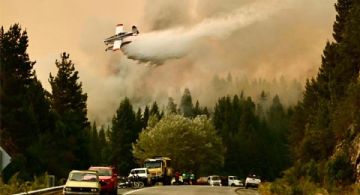 El costo de desfinanciar la prevención