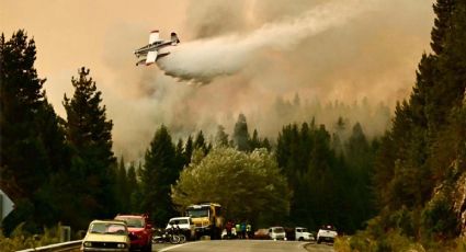 El costo de desfinanciar la prevención