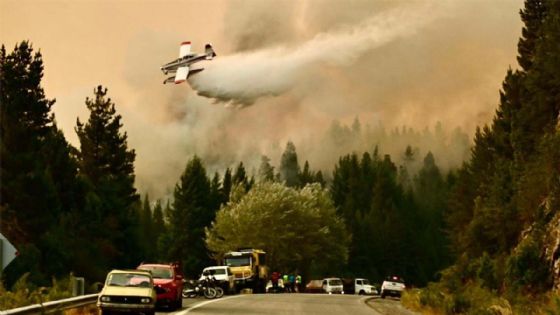 El costo de desfinanciar la prevención