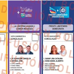 Atención: así es la boleta de candidatos para votar en Maipú