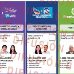 Atención: así es la boleta de candidatos en Santa Rosa