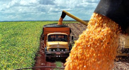 El Gobierno simplificó el traslado de granos con menos trámites 