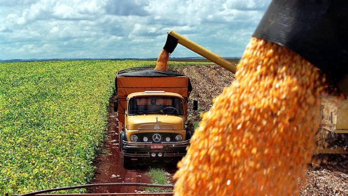 El Gobierno simplificó el traslado de granos con menos trámites 