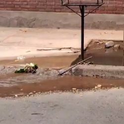 Video: una acequia tapada de basura se desbordó en Ciudad