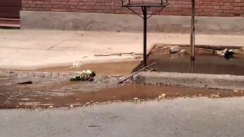 Video: una acequia tapada de basura se desbordó en Ciudad