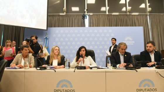 Régimen Penal Juvenil: el oficialismo consiguió firmar dictamen de mayoría