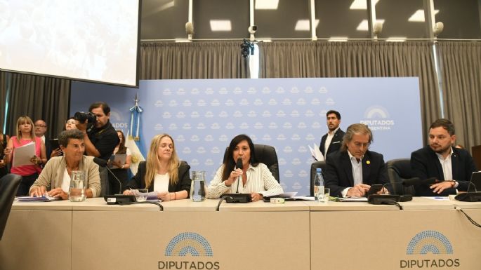 Régimen Penal Juvenil: el oficialismo consiguió firmar dictamen de mayoría