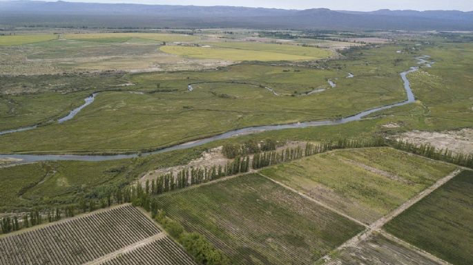 En 10 años cayó 55% la cantidad de productores agrícolas en Mendoza