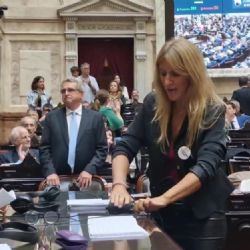 Reforma laboral: una diputada de UxP desenchufó micrófonos para interrumpir la sesión