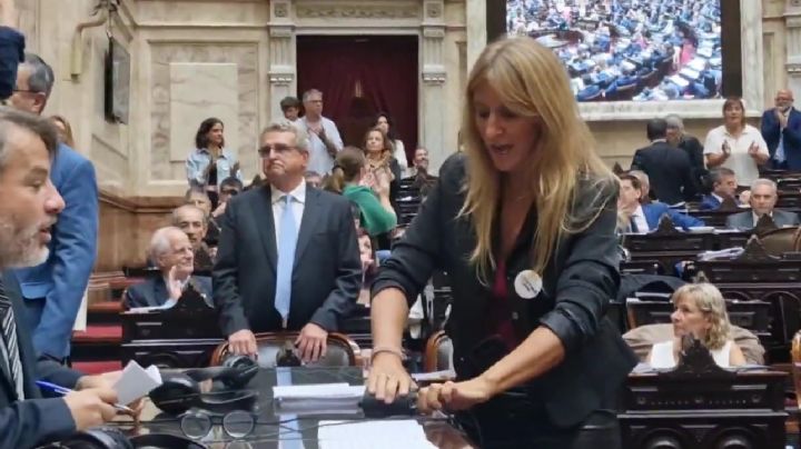Reforma laboral: una diputada de UxP desenchufó micrófonos para interrumpir la sesión