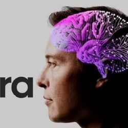 El chip de Neuralink que promete devolverle la visión a los ciegos