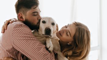 Una prepaga incluye a las mascotas en las coberturas