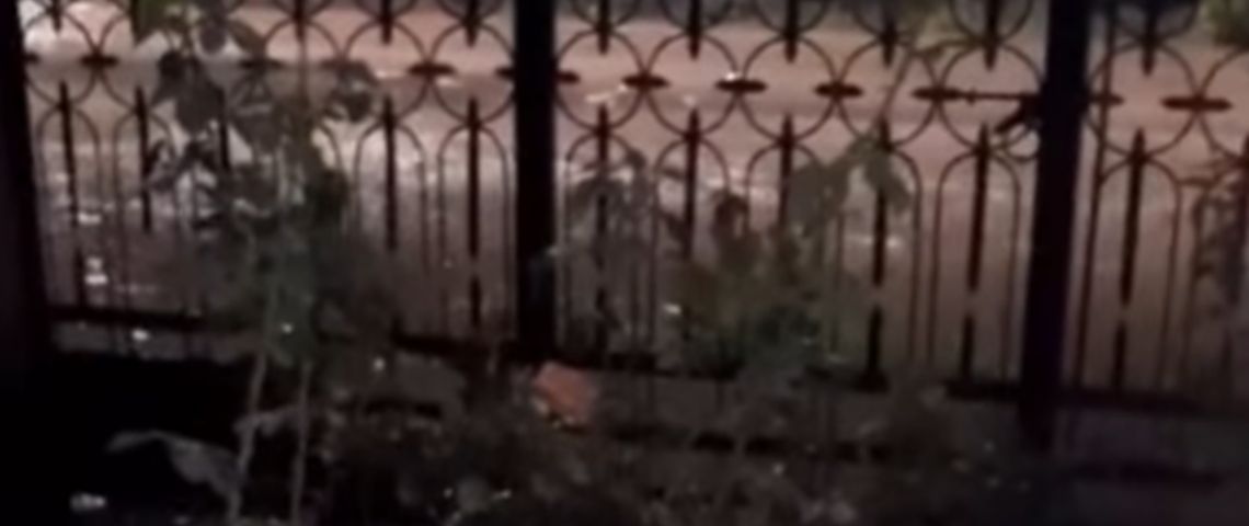 Video: casas inundadas por las obras viales de Las Heras