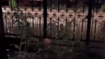 Video: casas inundadas por las obras viales de Las Heras