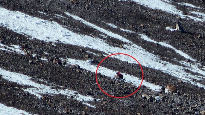 Rescastaron a un turista japonés que había sufrido una caída de 300 metros en el Aconcagua 