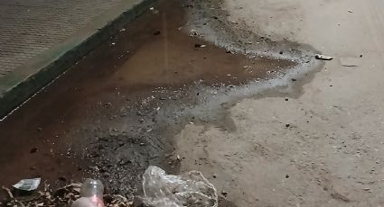 El alarmante estado de las acequias en el centro de Mendoza tras la tormenta