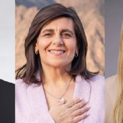 Ley de Glaciares: cómo votaron los senadores de Mendoza 