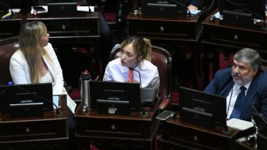 Foto iliustrativa de  Fernández Sagasti se diferenció del resto del kirchnerismo en una votación del Senado