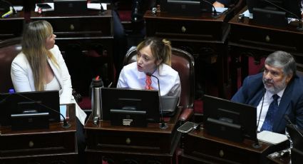 Fernández Sagasti se diferenció del resto del kirchnerismo en una votación del Senado