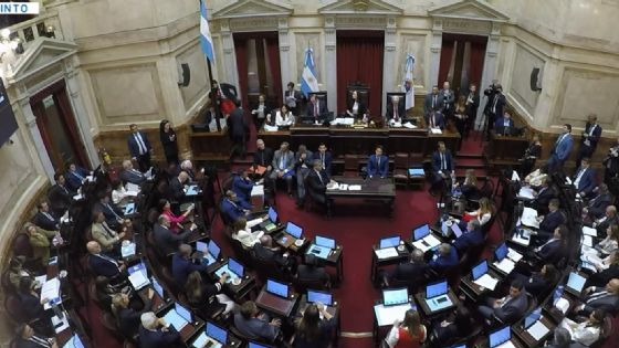 El Senado aprobó la baja en la edad de imputabilidad de 16 a 14 años