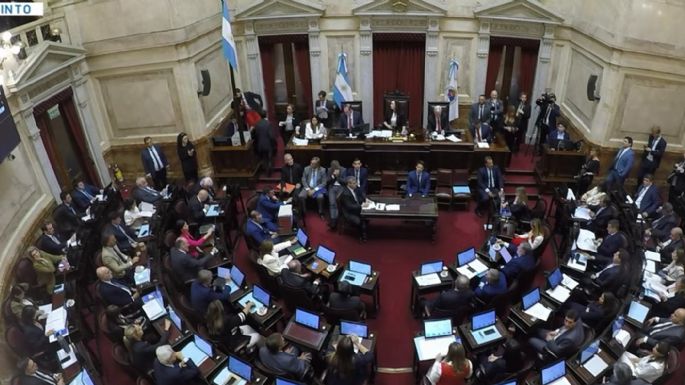 El Senado aprobó la baja en la edad de imputabilidad de 16 a 14 años