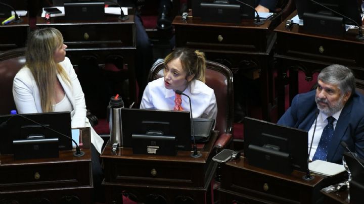 Fernández Sagasti se diferenció del resto del kirchnerismo en una votación del Senado