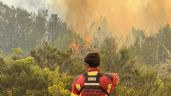 Foto ilustrativa de la nota titulada: Incendios en la Patagonia: 500 bomberos luchan contra el fuego en Chubut