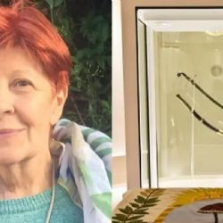 Renunció la directora del museo de donde sacarán el sable corvo de San Martín