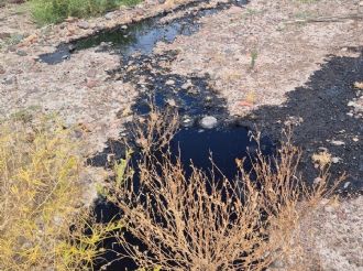 Petroleros jerárquicos salieron a contestarle a Jimena Latorre