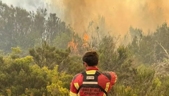 Incendios en la Patagonia: 500 bomberos luchan contra el fuego en Chubut