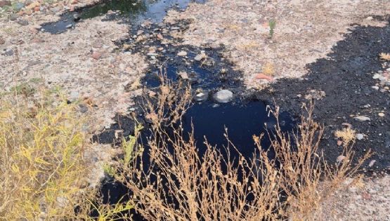 Petroleros jerárquicos salieron a contestarle a Jimena Latorre