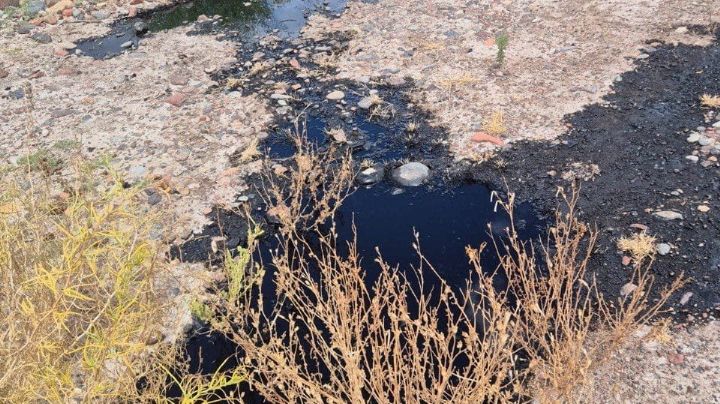 Petroleros jerárquicos salieron a contestarle a Jimena Latorre