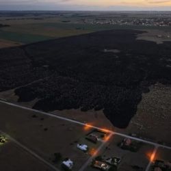 Un incendio forestal arrasó más de 200 hectáreas en Mar del Plata 