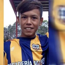 Van a juicio los dueños de una jauría de perros que asesinó a un niño de 12 años 