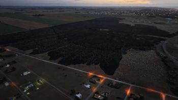 Un incendio forestal arrasó más de 200 hectáreas en Mar del Plata 