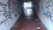 Foto ilustrativa de la nota titulada: Vecinos reclaman por el degradado pasaje que une el Barrio Urquiza con el Parque Ferri