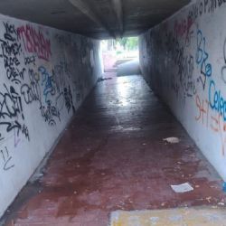Vecinos reclaman por el degradado pasaje que une el Barrio Urquiza con el Parque Ferri