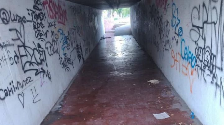 Vecinos reclaman por el degradado pasaje que une el Barrio Urquiza con el Parque Ferri
