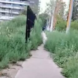 Vecinos denuncian falta de mantenimiento y oscuridad en el Parque Central