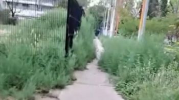 Vecinos denuncian falta de mantenimiento y oscuridad en el Parque Central