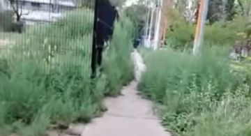 Vecinos denuncian falta de mantenimiento y oscuridad en el Parque Central