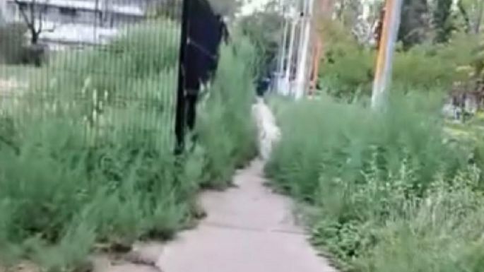 Vecinos denuncian falta de mantenimiento y oscuridad en el Parque Central