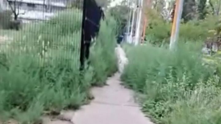 Vecinos denuncian falta de mantenimiento y oscuridad en el Parque Central