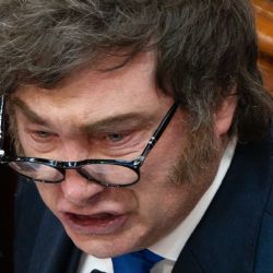 Análisis: a Javier Milei le rinde más polarizar con el kirchnerismo que hablar de economía