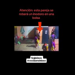 Insólito robo en San Carlos: se llevaron un inodoro de la terminal en una bolsa de consorcio